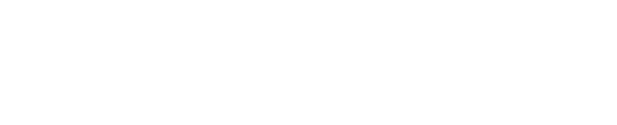 logo-rail-biale-nowe